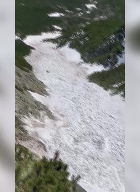 [multi] 043024NVE 1847