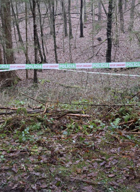 Otrasný nález v lesoch nad Zvolenom: Vyšetrovateľ vzniesol obvinenie pre zločin vraždy