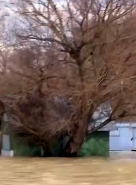 Nelegálne stavby na Domaši