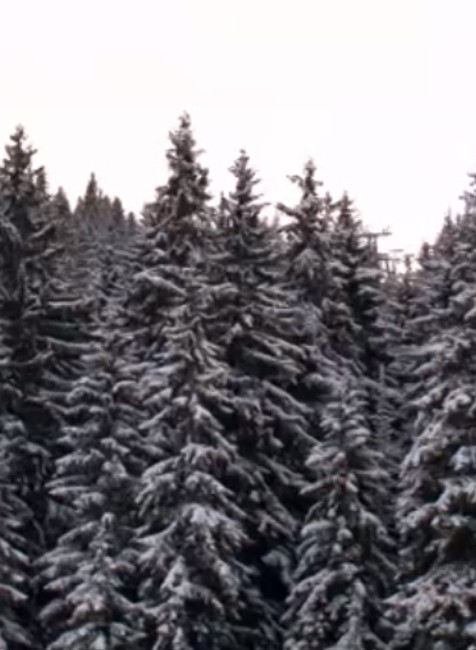 Chopok v rozprávkovo-vianočnej atmosfére. Aká ale bude realita?