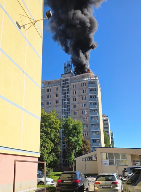 WhatsApp Image 2025-09-30 at 10.10.51 (1)