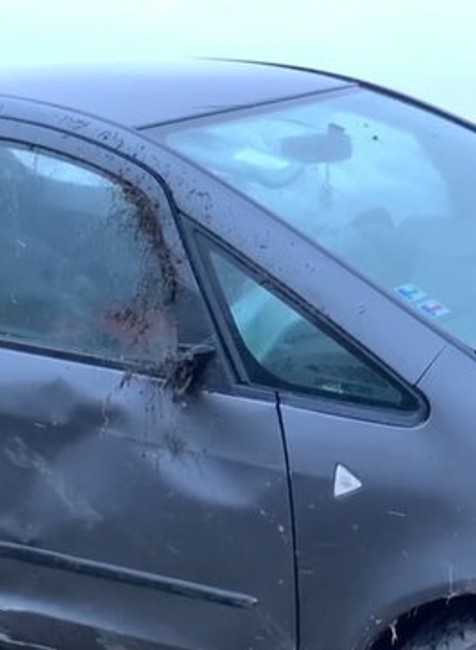 Jedna noc v cele vraj stačí...