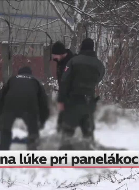 [multi] Mŕtvy muž na lúke pri panelákoch 11277