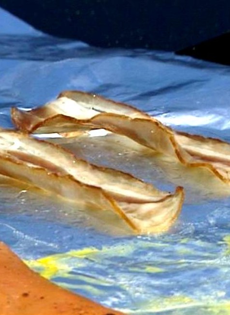 Grilovačka obed kapota automobil