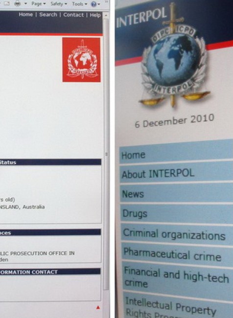 Identita Julian Assange, wanted