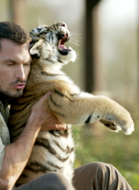 ZOO Ján Koleník a tiger