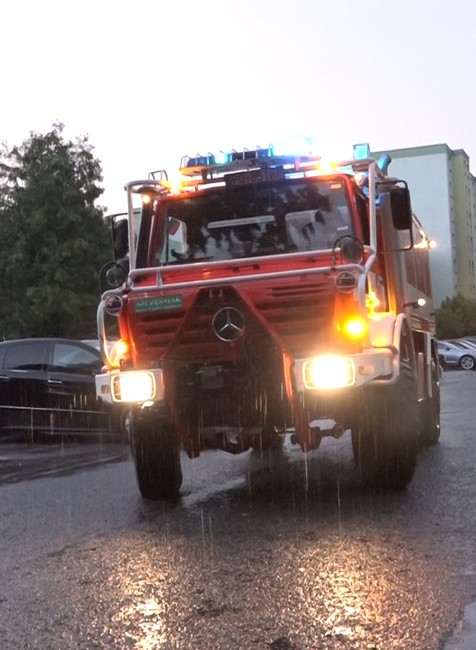 Padnutý strom v Prešove