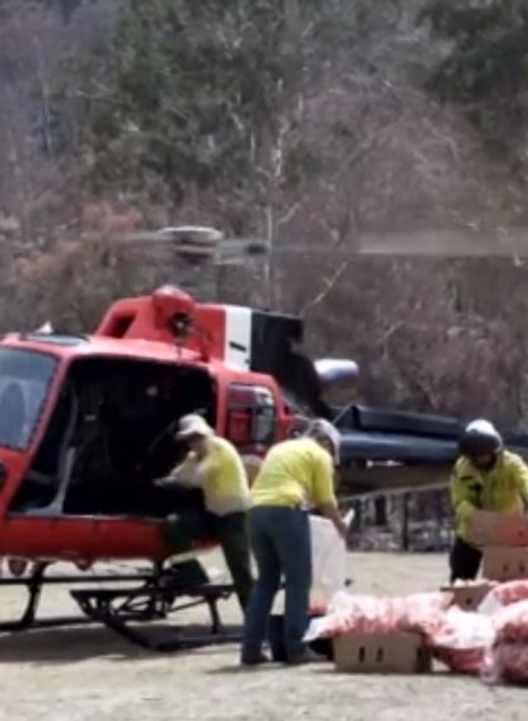 Nový fond na obnovu po požiaroch