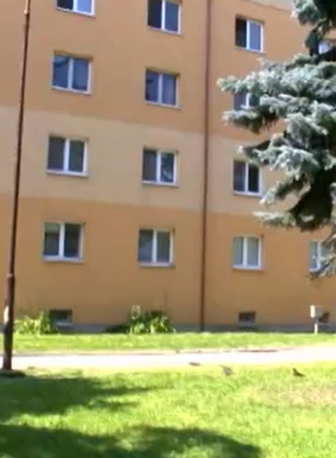 Za vraždu dostal 17 a pol roka.