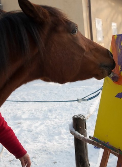 Kobyla Maceba maľuje
