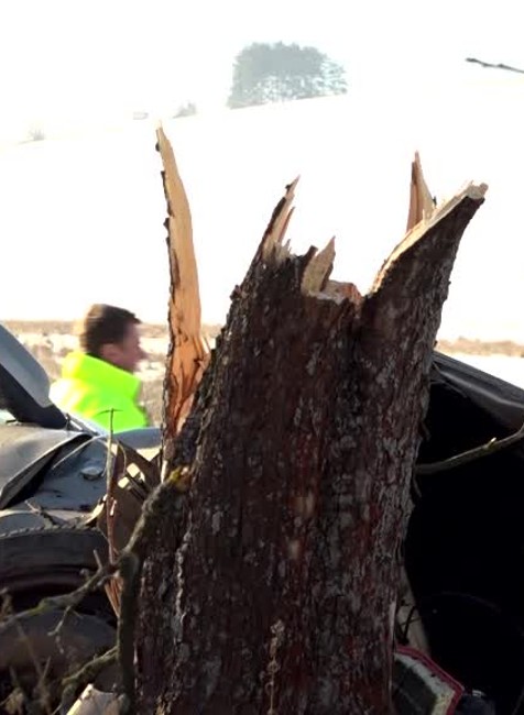 Vodič na klzkej ceste nabúral do stromu. V aute sedela aj tehotná žena