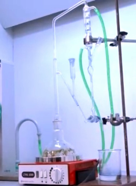 Laboratórium, Prešovská univerzita