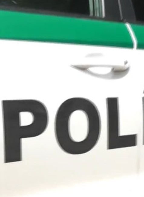 Chcel ukradnúť mosadzné piliny.