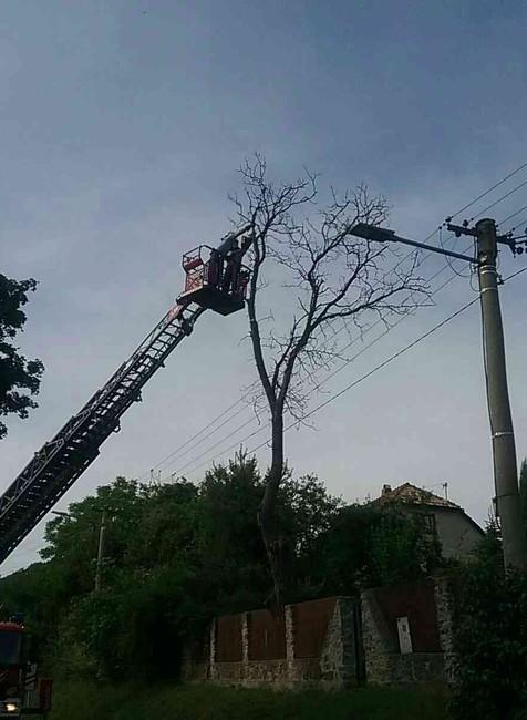 Hasiči, polámané stromy