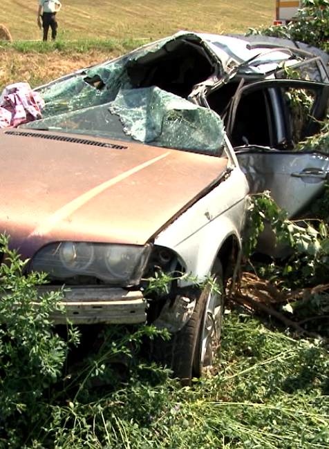 Pri silnom náraze vyvrátilo strom aj s koreňmi