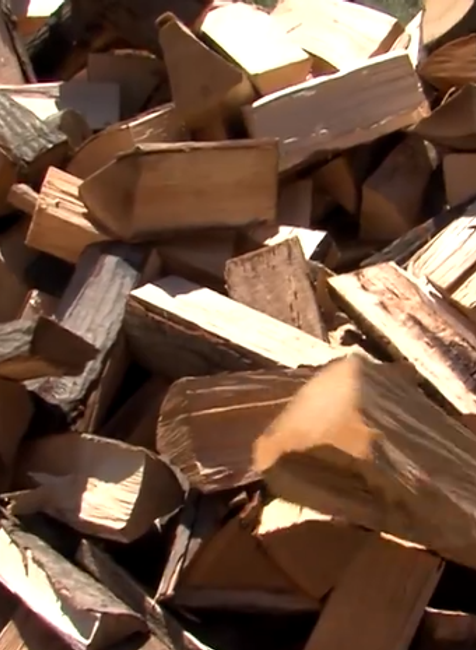 Lesy v národnom parku