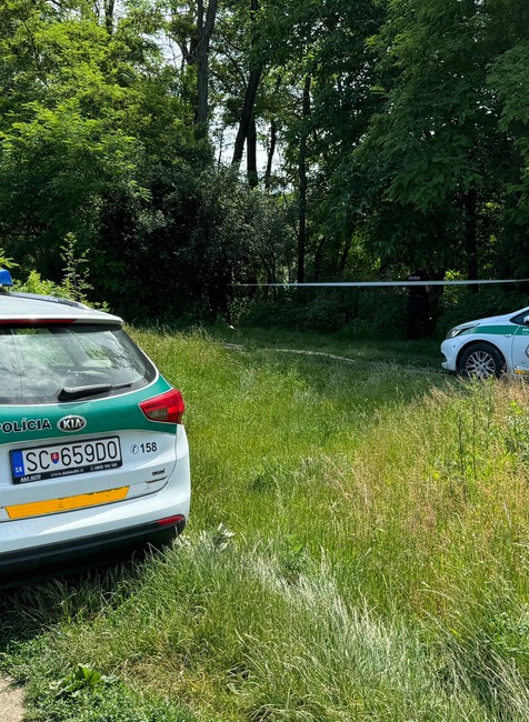 Mŕtvola v Malom Dunaji