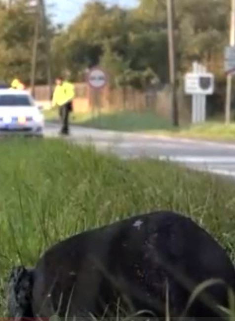 Horiaci kamión pri Prešove 