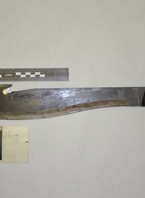 Mačetou zaútočil na matku 