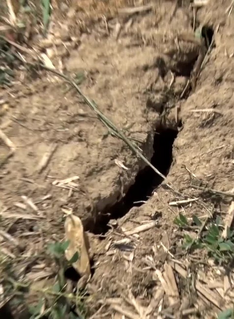 [multi] Škola s agrofarmou 410