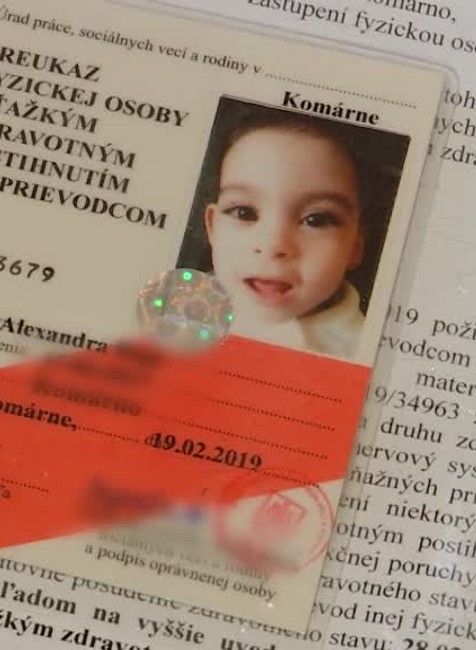 Obetavý otec nechal prácu, aby sa mohol starať o dieťa. Od štátu dostáva len 24 eur