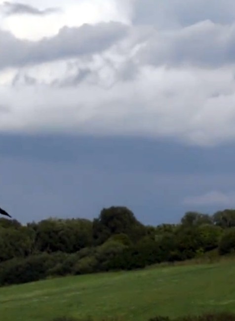 O Vavrincovi nemajú správy už vyše mesiaca. Mohol sa zamotať do káblov alebo ho zastrelili
