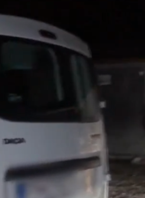 Riskantné zábery v Tatrách. Mladá žena stála len pár metrov od medvedice s mladými 