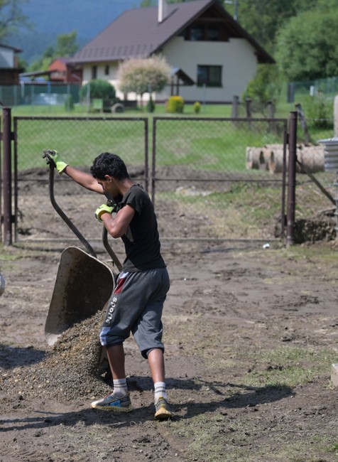 Mnisek11_11_7_2024056911