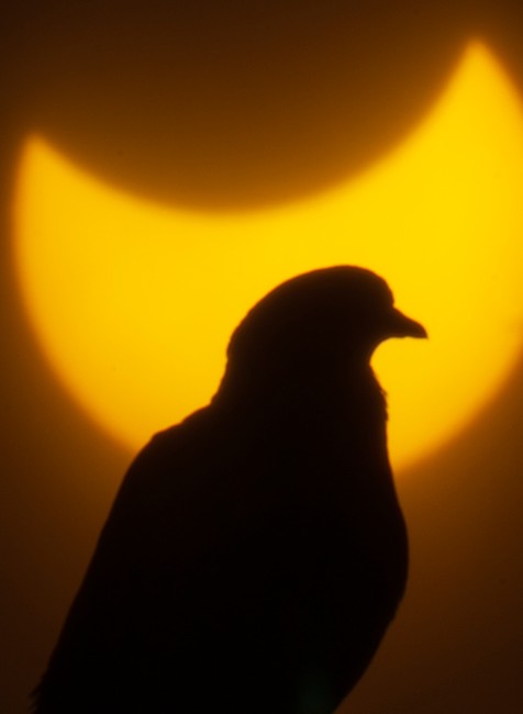 Čiastočné zatmenie Slnka