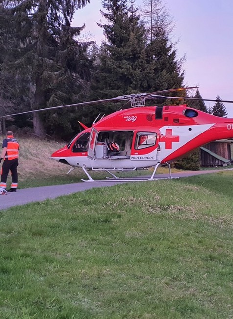 Medvedica napadla dvoch turistov. Jeden je v ťažkom stave, museli ho previezť vrtuľníkom