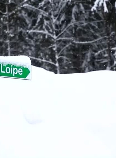 [multi] Rakúsko kalamity 7647