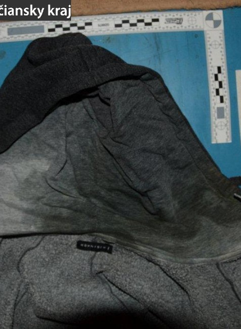 Beštiálny čin pri Prievidzi