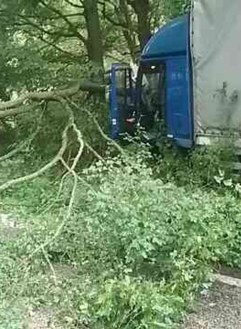 Nákladné auto narazilo do stromu 