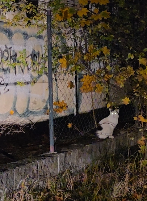 Snímka obrazovky 2025-10-25 184501