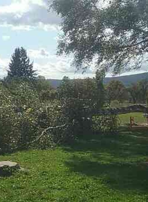 Silný vietor si vyžiadal už 171 zásahov hasičov 