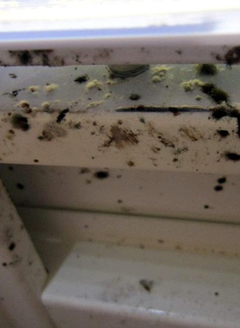 Kontrola potravín 1