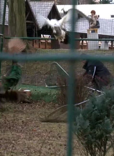 [multi] VN Orava "orkán" 1414