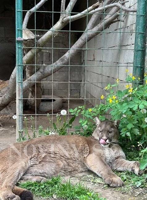 Nešťastie na Horehroní