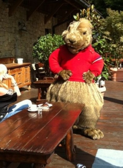 Hod svišťom_Monika Hilmerová_upútavka