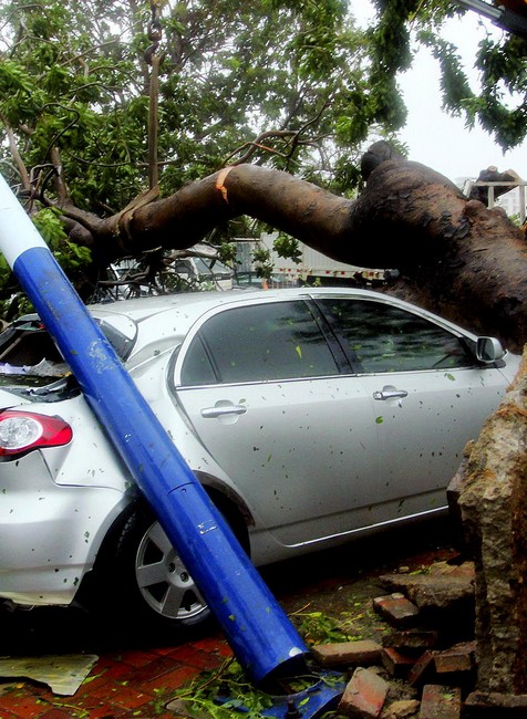 Haiyan tajfún strom na aute