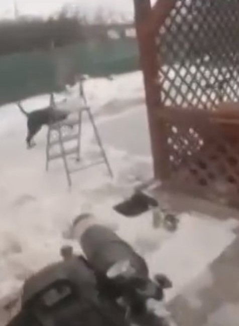 VIDEO: Zásah kukláčov v Chorvátskom Grobe. Zadržali 32- ročného muža