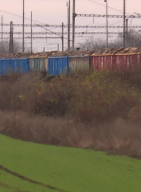 [multi] Zachránený psík 1547