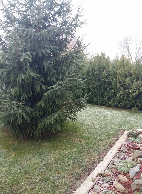  Žitný ostrov-Monika Nagyova Podobekova