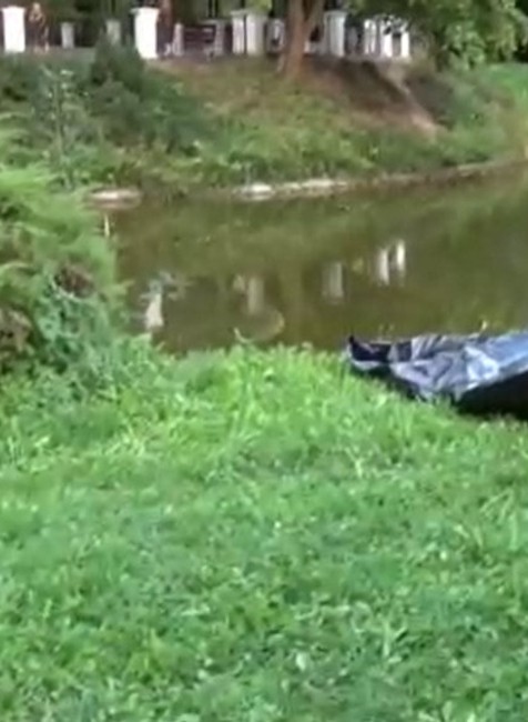 Na hladine medzi leknami našli nehybné telo ženy.