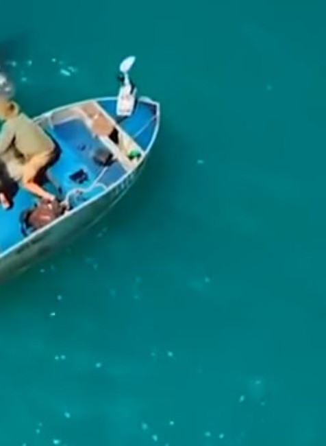 rybári hladkali žraloka obrovského