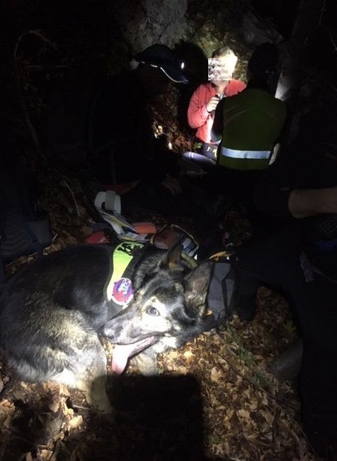 Záchranári hľadali dezorientovaného muža