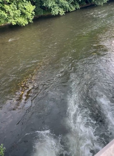 WhatsApp Image 2025-06-19 at 11.29.21