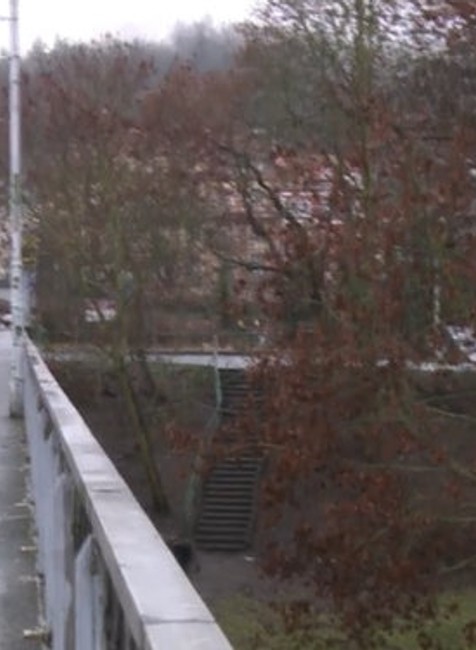 Polícia vyšetruje brutálnu vraždu novorodenca.