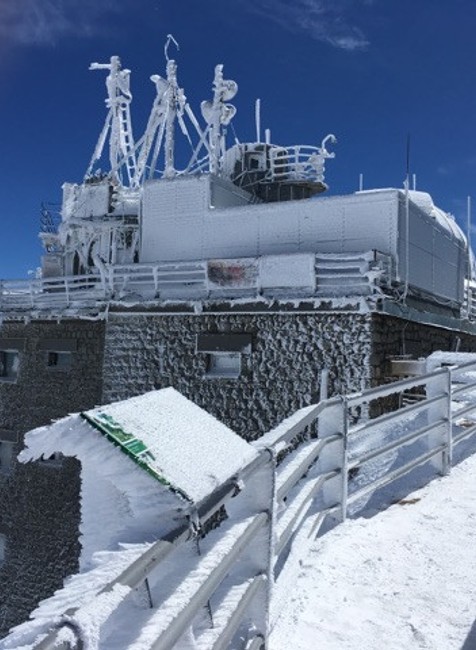 Lomničák, máj, mrazy