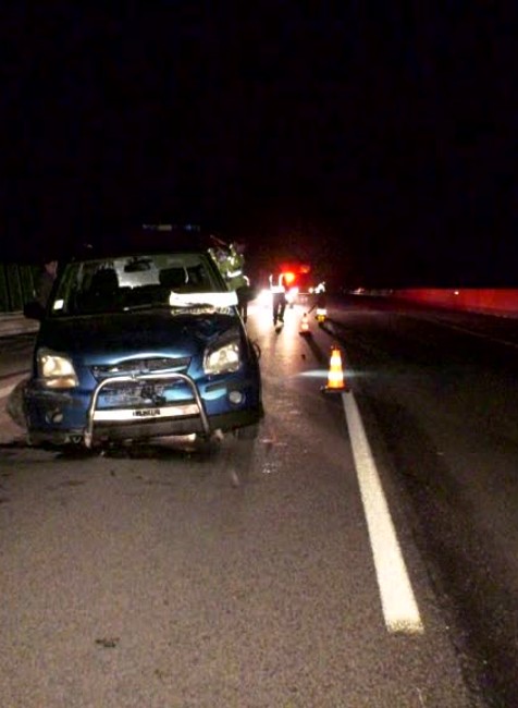 Na R1 vbehol srnec. Vodička strhla volant do zvodidiel